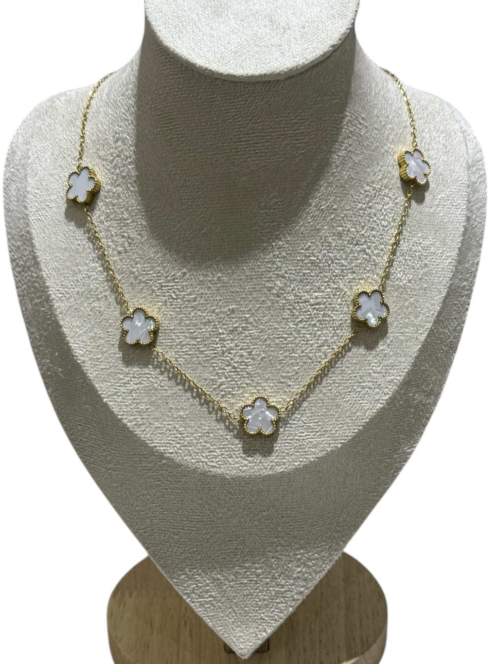 Collier Steffy